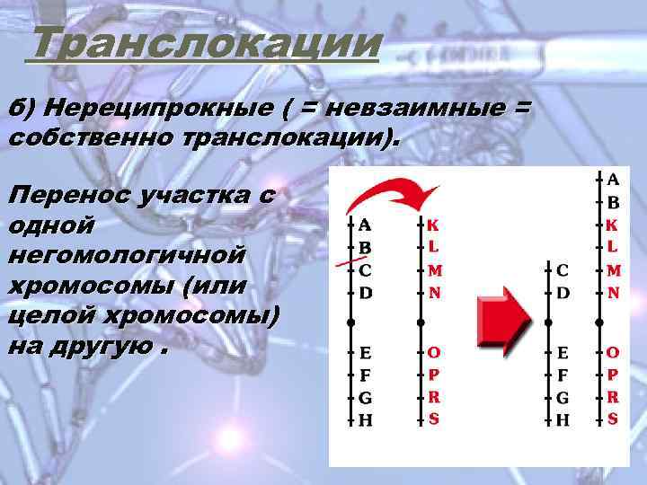 Транслокации б) Нереципрокные ( = невзаимные = собственно транслокации). Перенос участка с одной негомологичной