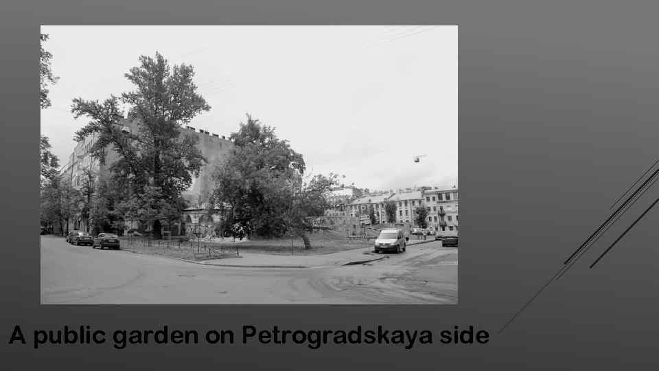 А public garden on Petrogradskaya side 