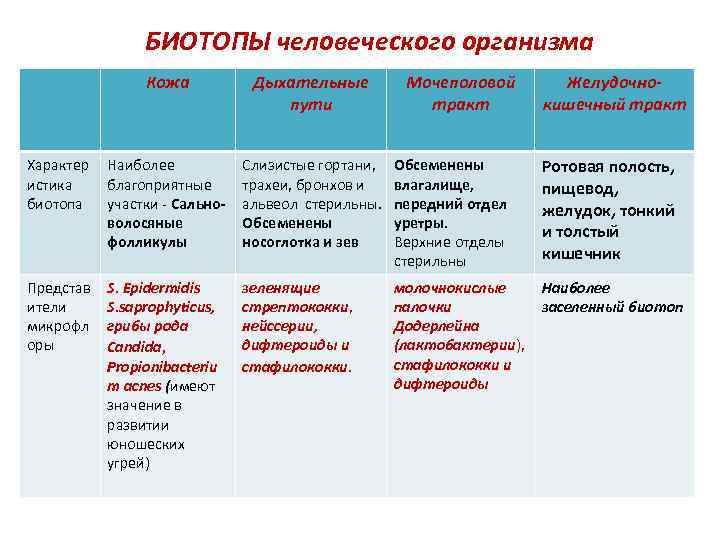 БИОТОПЫ человеческого организма Кожа Дыхательные пути Мочеполовой тракт Желудочно- кишечный тракт Характер истика биотопа