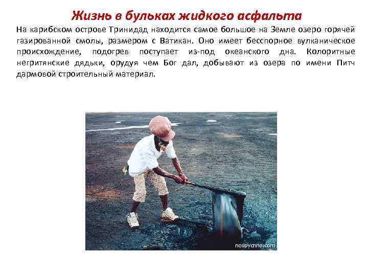 Жизнь в бульках жидкого асфальта На карибском острове Тринидад находится самое большое на Земле
