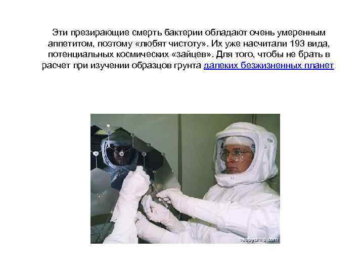 Эти презирающие смерть бактерии обладают очень умеренным аппетитом, поэтому «любят чистоту» . Их уже
