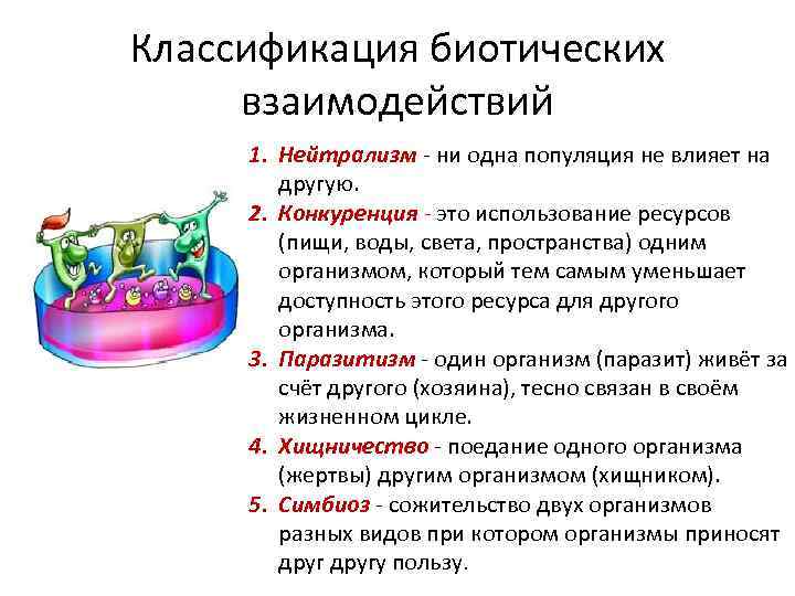 Классификация биотических взаимодействий 1. Нейтрализм - ни одна популяция не влияет на другую. 2.