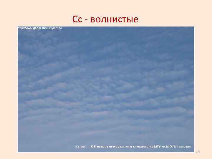 Сс - волнистые 14 