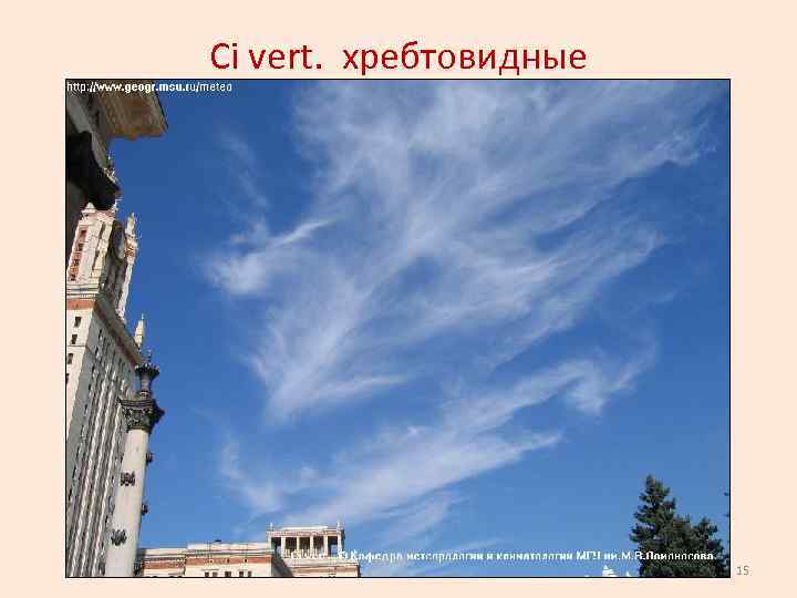 Сi vert. хребтовидные 15 