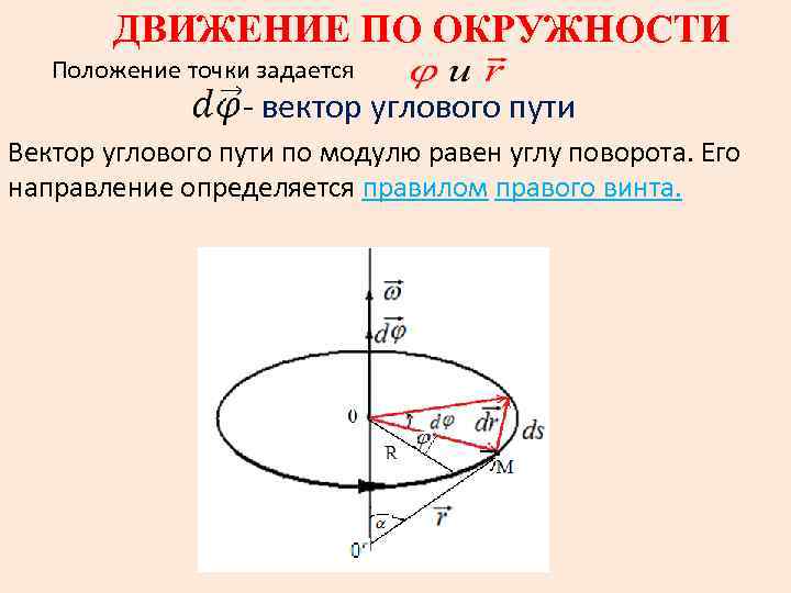 ДВИЖЕНИЕ ПО ОКРУЖНОСТИ Положение точки задается - вектор углового пути Вектор углового пути по