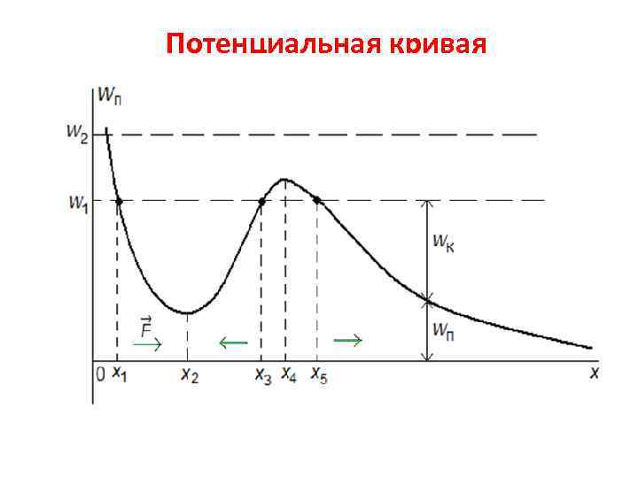 Потенциальная кривая 