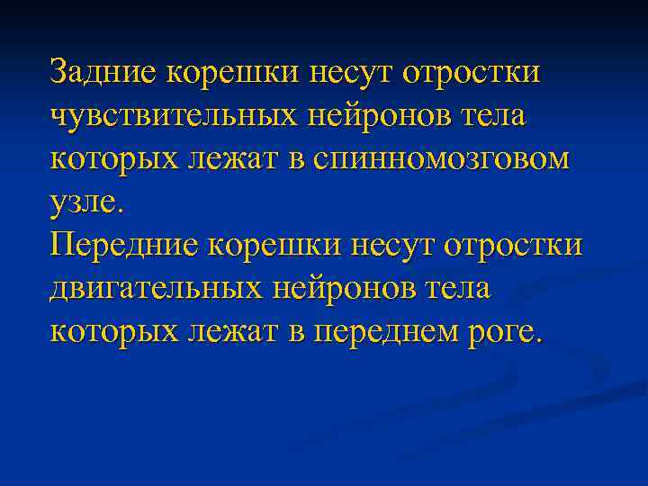 Задние корешки несут отростки чувствительных нейронов тела которых лежат в спинномозговом узле. Передние корешки