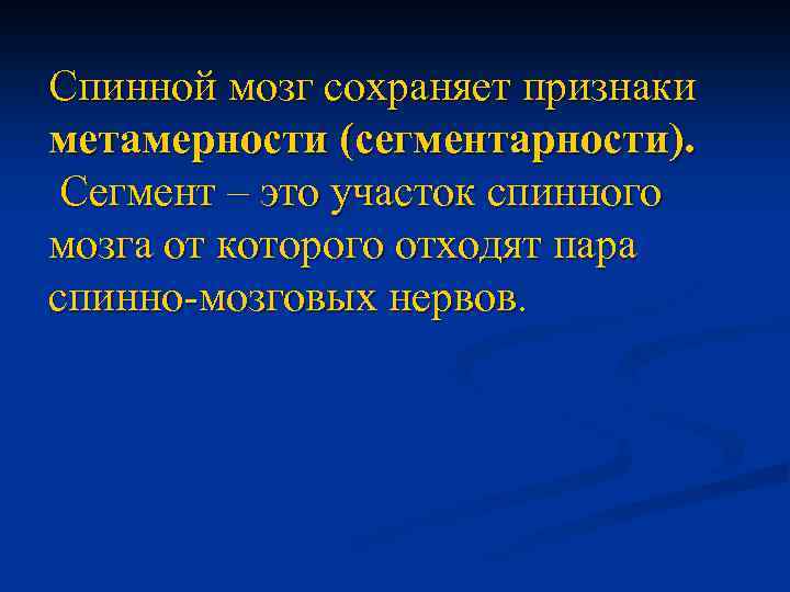 Спинной мозг сохраняет признаки метамерности (сегментарности). Сегмент – это участок спинного мозга от которого