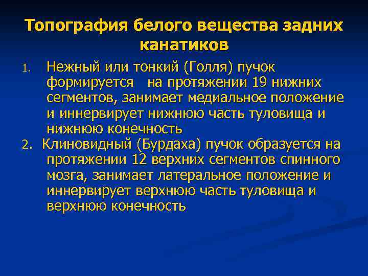 Топография белого вещества задних канатиков Нежный или тонкий (Голля) пучок формируется на протяжении 19