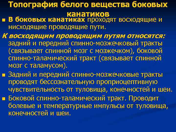 n Топография белого вещества боковых канатиков В боковых канатиках проходят восходящие и нисходящие проводящие