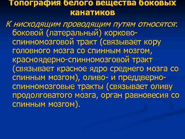 Топография белого вещества боковых канатиков К нисходящим проводящим путям относятся: боковой (латеральный) корковоспинномозговой тракт