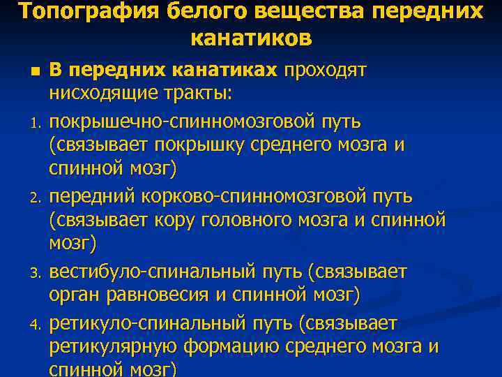 Топография белого вещества передних канатиков n 1. 2. 3. 4. В передних канатиках проходят