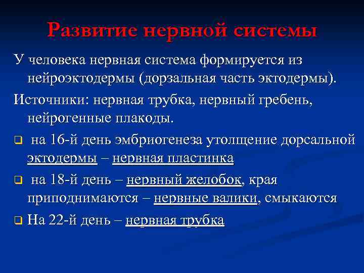 Развитие нервной системы У человека нервная система формируется из нейроэктодермы (дорзальная часть эктодермы). Источники: