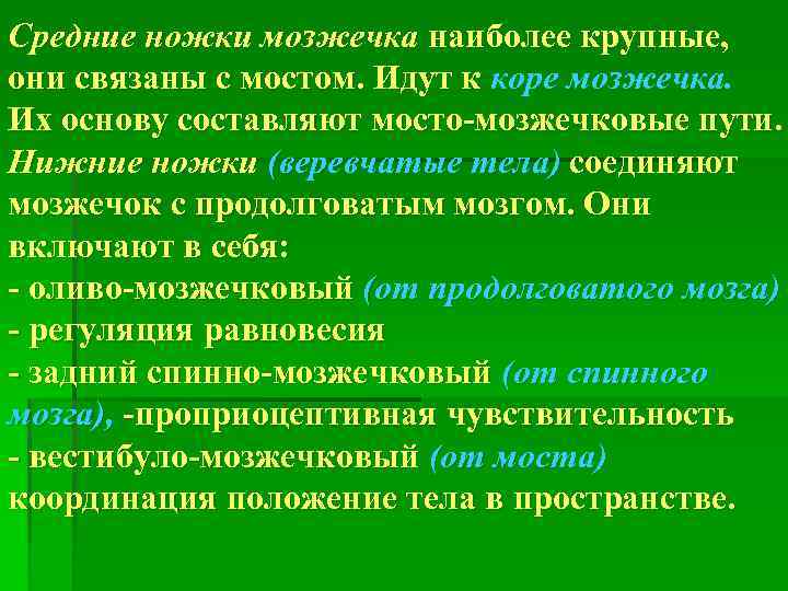Средние ножки мозжечка наиболее крупные, они связаны с мостом. Идут к коре мозжечка. Их