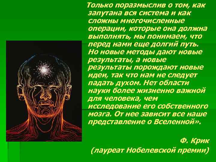 Только поразмыслив о том, как запутана вся система и как сложны многочисленные операции, которые