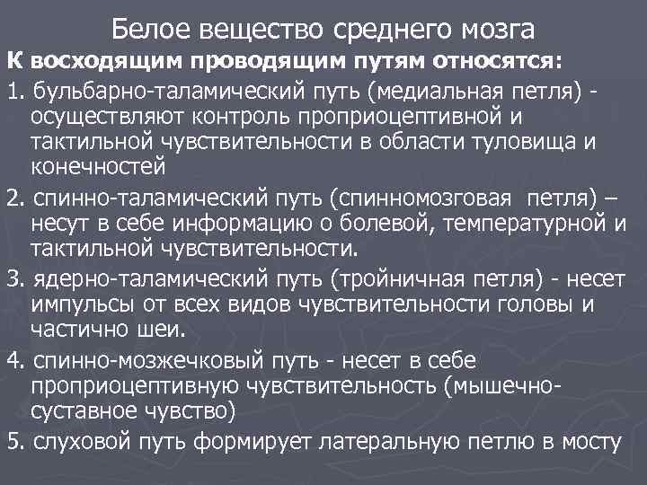 Белое вещество среднего мозга К восходящим проводящим путям относятся: 1. бульбарно-таламический путь (медиальная петля)