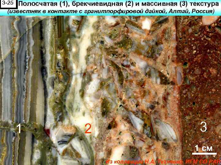 3 -25 Полосчатая (1), брекчиевидная (2) и массивная (3) текстура (известняк в контакте с