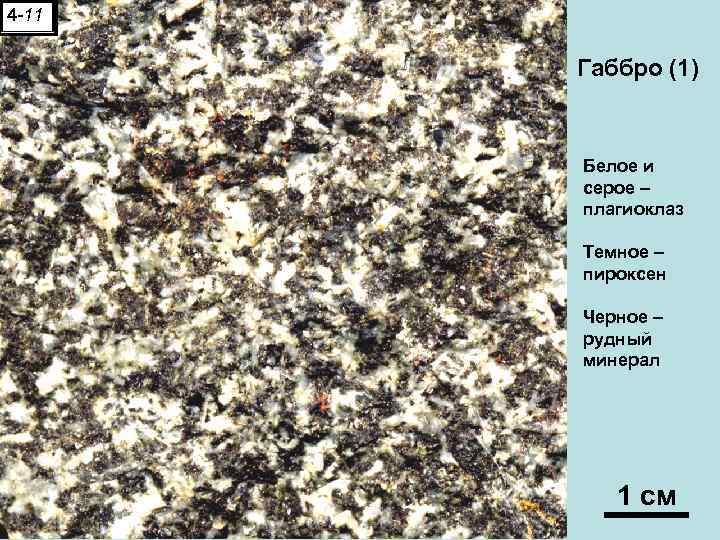 4 -11 Габбро (1) Белое и серое – плагиоклаз Темное – пироксен Черное –