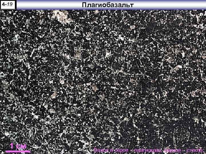 4 -19 1 см Плагиобазальт Белое и серое – плагиоклаз, черное – стекло. 