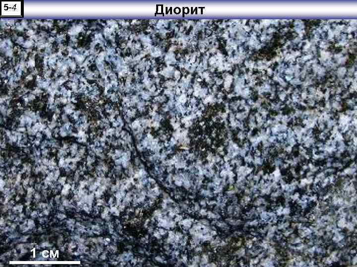 Диорит 5 -4 1 см 