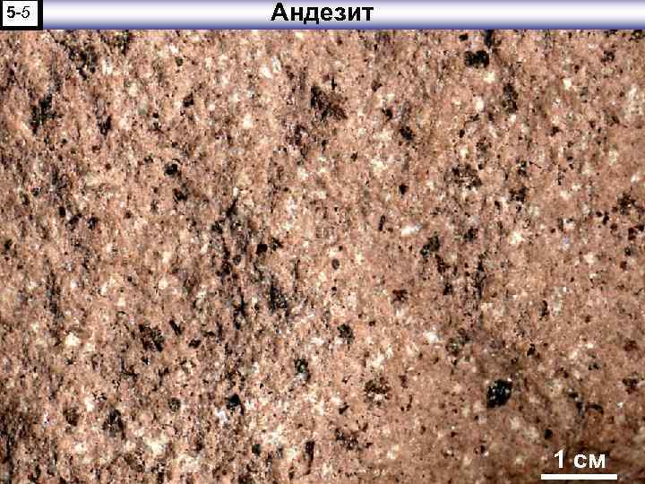 5 -5 Андезит 1 см 