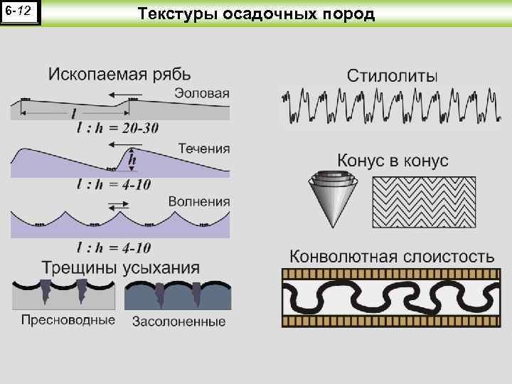 6 -12 Текстуры осадочных пород 