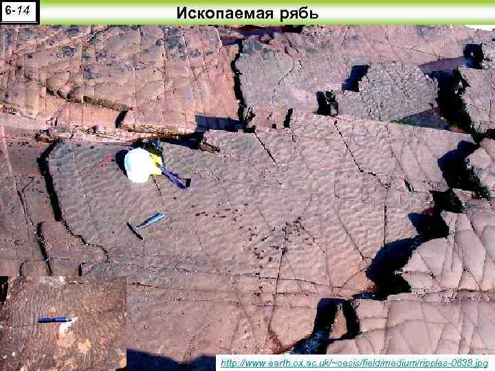 6 -14 Ископаемая рябь http: //www. earth. ox. ac. uk/~oesis/field/medium/ripples-0638. jpg 