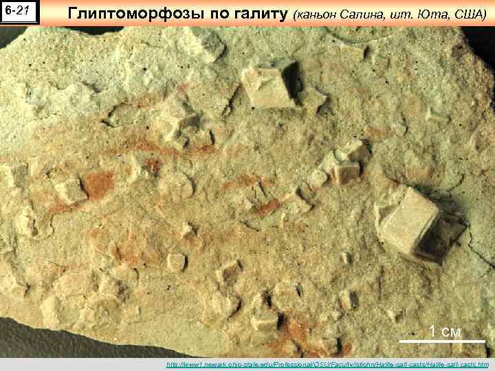 6 -21 Глиптоморфозы по галиту (каньон Салина, шт. Юта, США) 1 см http: //www
