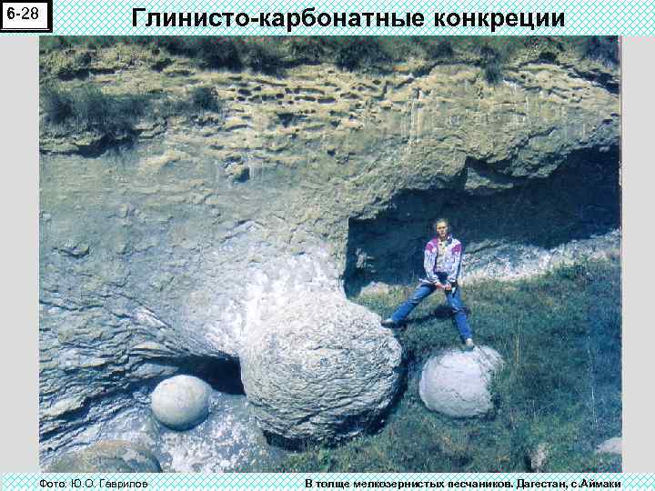 6 -28 Глинисто-карбонатные конкреции Фото: Ю. О. Гаврилов В толще мелкозернистых песчаников. Дагестан, с.