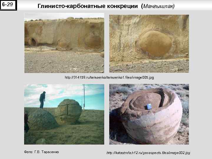 6 -29 Глинисто-карбонатные конкреции (Мангышлак) http: //314159. ru/tarasenko 1. files/image 005. jpg Фото: Г.