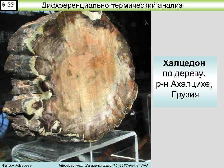 6 -33 Дифференциально-термический анализ Халцедон по дереву. р-н Ахалцихе, Грузия Фото: А. А. Евсеев