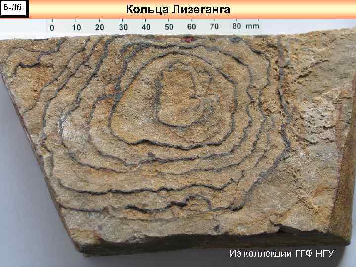 6 -36 Кольца Лизеганга Из коллекции ГГФ НГУ 