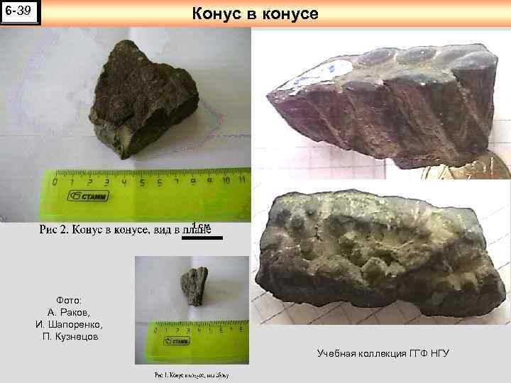 6 -39 Конус в конусе 1 см Фото: А. Раков, И. Шапоренко, П. Кузнецов