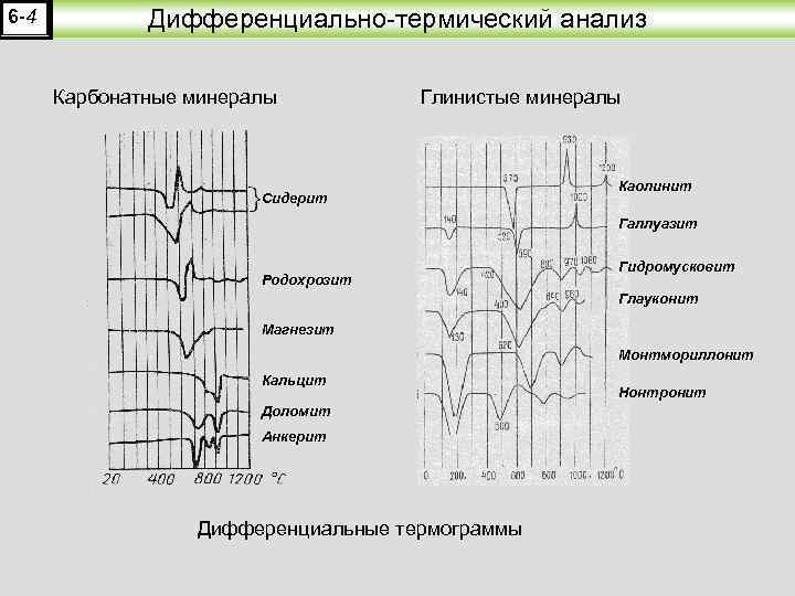 Формирование карбонатных осадочных пород