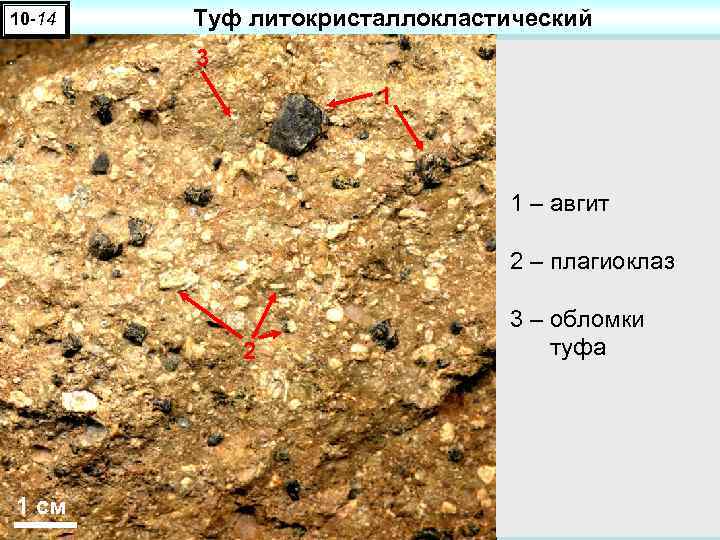 10 -14 Туф литокристаллокластический 3 1 1 – авгит 2 – плагиоклаз 2 1