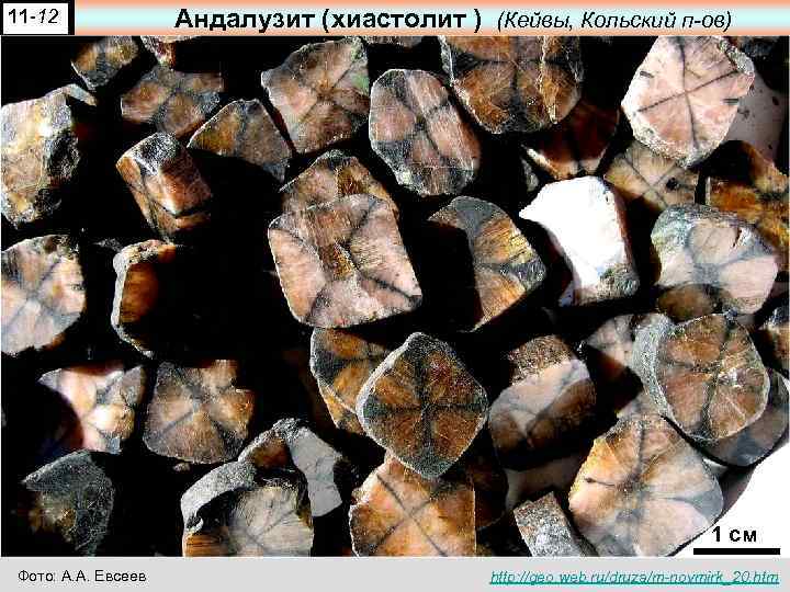11 -12 Андалузит (хиастолит ) (Кейвы, Кольский п-ов) 1 см Фото: А. А. Евсеев