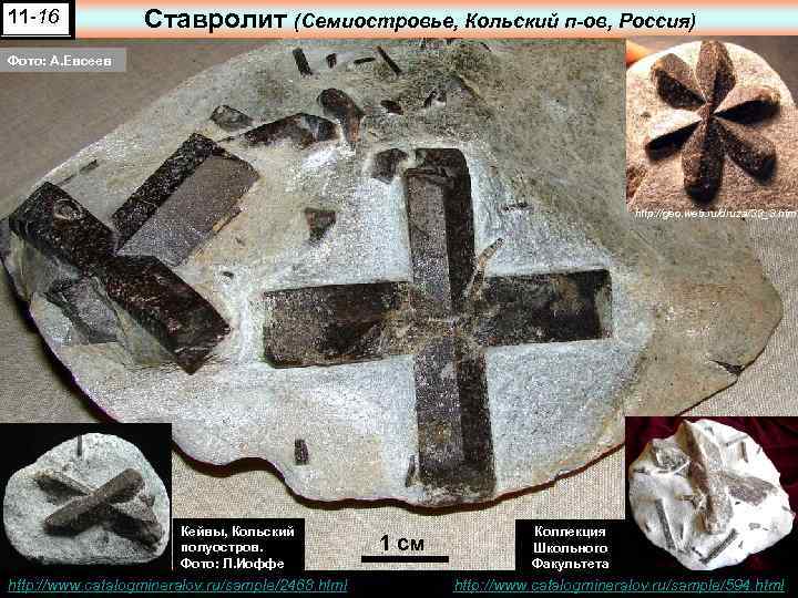 11 -16 Ставролит (Семиостровье, Кольский п-ов, Россия) Фото: А. Евсеев http: //geo. web. ru/druza/33_3.