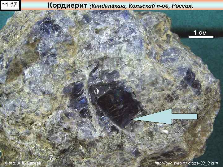 11 -17 Кордиерит (Кандалакши, Кольский п-ов, Россия) 1 см Фото: А. А. Евсеев http: