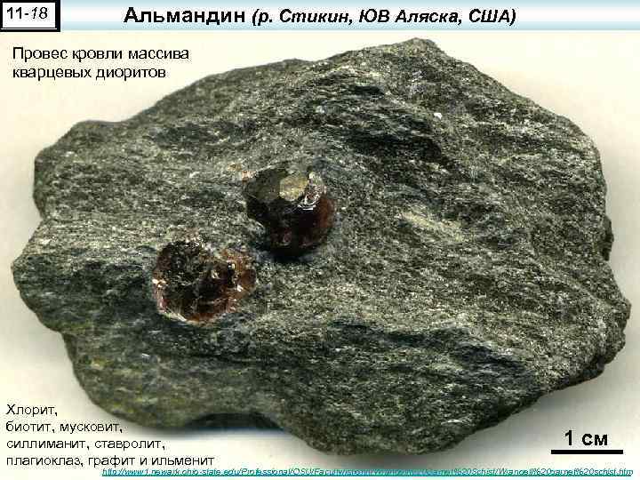 11 -18 Альмандин (р. Стикин, ЮВ Аляска, США) Провес кровли массива кварцевых диоритов Хлорит,
