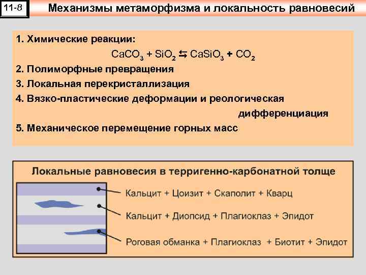 11 -8 Механизмы метаморфизма и локальность равновесий 1. Химические реакции: Ca. CO 3 +