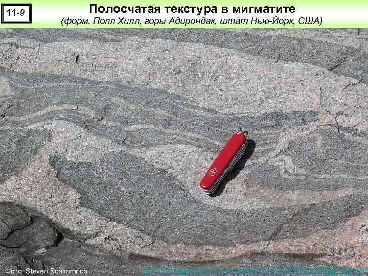 11 -9 Полосчатая текстура в мигматите (форм. Попл Хилл, горы Адирондак, штат Нью-Йорк, США)