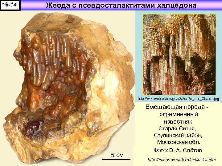 16 -14 Жеода с псевдосталактитами халцедона http: //wiki. web. ru/images/2/2 d/Ps_stal_Chalc 1. jpg Вмещающая