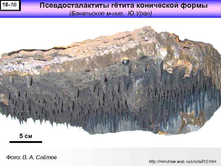 Псевдосталактиты гётита конической формы 16 -16 (Бакальское м-ние, Ю. Урал) 5 см Фото: В.