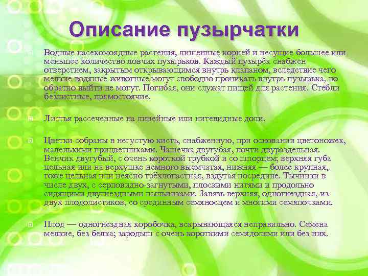 Описание пузырчатки Водные насекомоядные растения, лишенные корней и несущие большее или меньшее количество ловчих