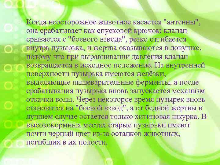  Когда неосторожное животное касается "антенны", она срабатывает как спусковой крючок: клапан срывается с