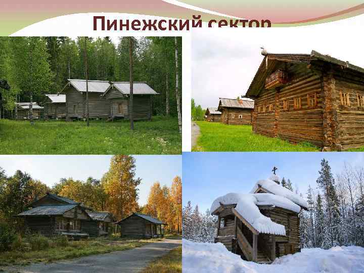 Пинежский сектор 