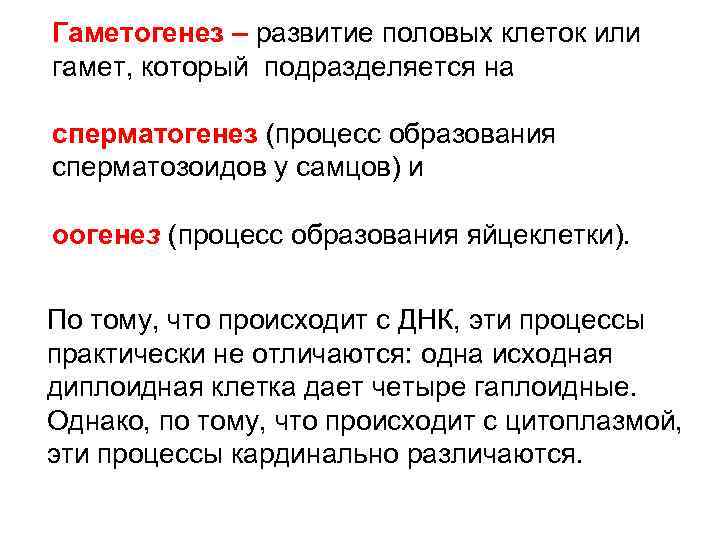 Гаметогенез – развитие половых клеток или гамет, который подразделяется на сперматогенез (процесс образования сперматозоидов