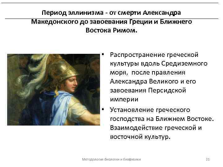 Развитие биологических знаний в период эллинизма и в Древнем Риме. Период эллинизма - от