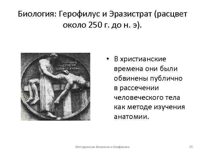 Биология: Герофилус и Эразистрат (расцвет около 250 г. до н. э). • В христианские