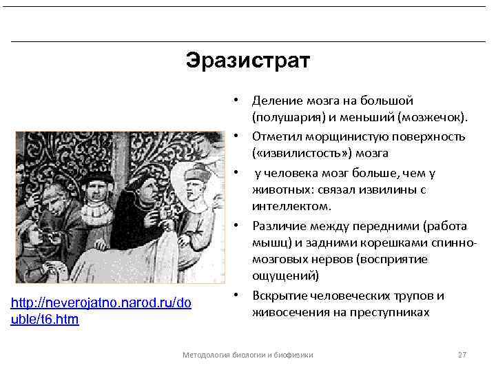 Развитие биологических знаний в период эллинизма и в Древнем Риме. Эразистрат http: //neverojatno. narod.